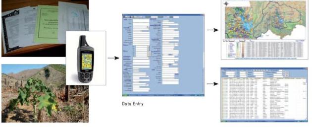 GIS Workflow