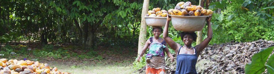 agricinghana