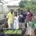 Call for Applications: Agribusiness Training Opportunity for Ghanaian Youth in Vegetable Production under GreenHouse
